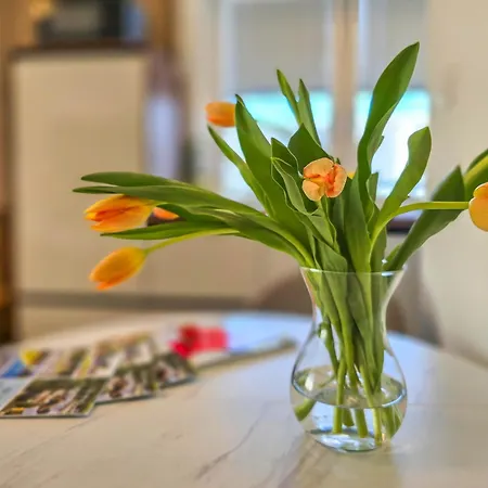 Apartmán Trend Bük